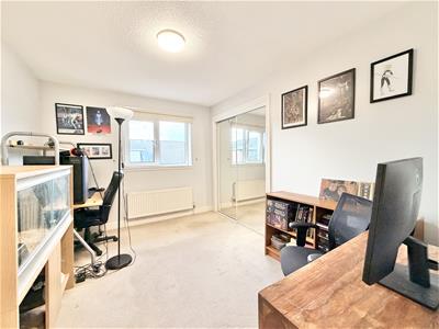 Picture 16